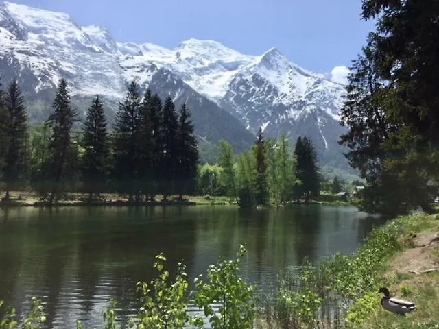 Chamois Blanc 霞慕尼