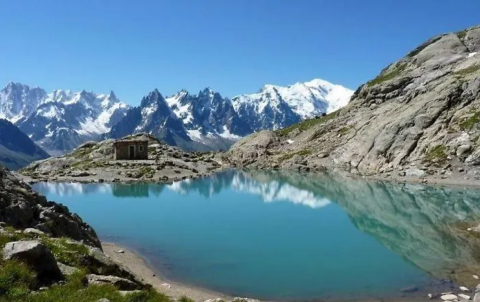 Chamois Blanc 霞慕尼